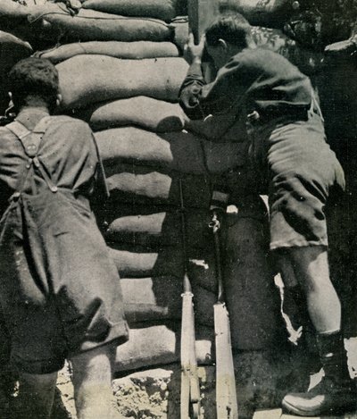 Britse troepen vechtend in kaki-drill shorts, Gallipoli-schiereiland door Unbekannt
