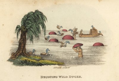 Chinese mannen jagen op wilde eenden met lokhoeden in de rivier, Qing-dynastie. Handgekleurde kopergravure door Andrea Freschi naar Antoine Cardon uit Henri-Leonard-Jean-Baptiste Bertin en Jean Baptiste Joseph Breton