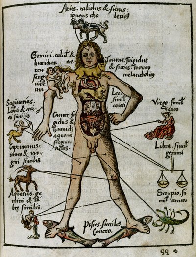 Kosmografie 16e eeuw: de zodiakale man door Unbekannt