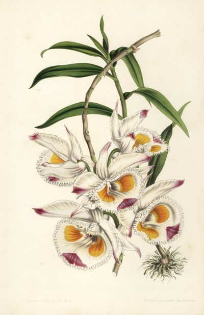 Hertog van Devonshire