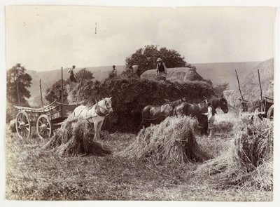 Landbouwscènes, Oogsten & Opslag, Pre-1900 Oogst, ca. 1890 door Unbekannt