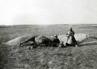 Eerste Wereldoorlog 14-18 (1914-1918): drie Franse soldaten begraven een dood paard - foto op glasplaat - door Unbekannter Künstler