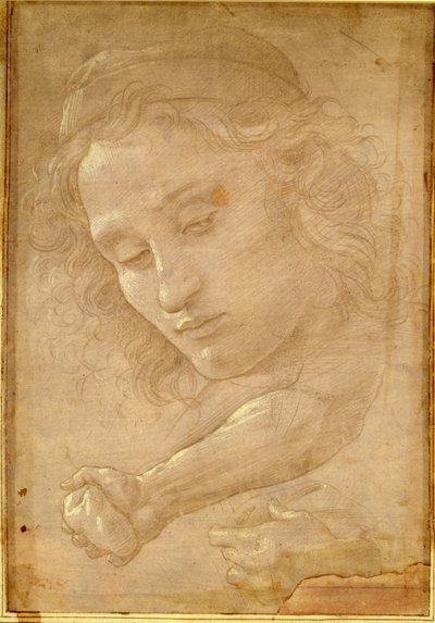 Hoofd van een jongeling, tekening uit een pagina van "Libro dei Desegni" door Georgio Vasari door Unbekannt