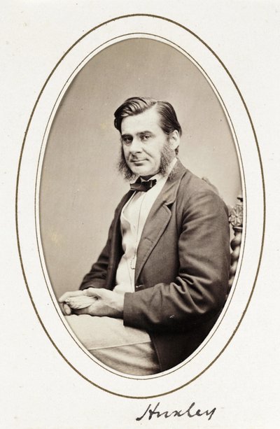 Huxley, ca. 1865 door Unbekannt
