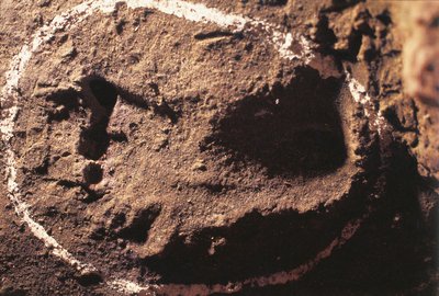 Italië, Ligurië, Grotten van Toirano, voetafdrukken van Prehistorische jager door Benjamin Baud