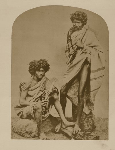 Kurumbars van de Neelgerries, nr. 431 uit 