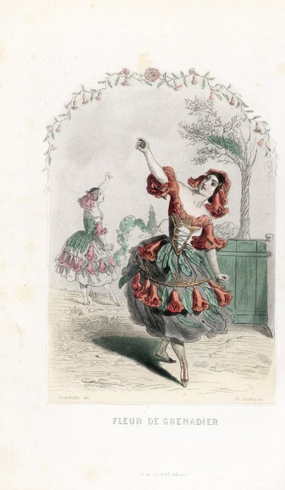 De granaatappelbloemfee danst - Les fleurs animées door Unbekannter Künstler