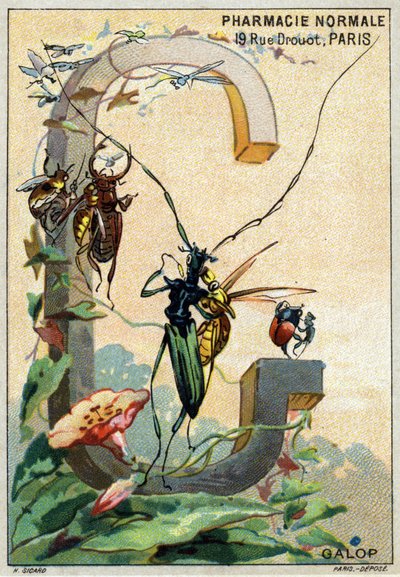 Letter G zoals Galop. Artistiek alfabet van Mr. Marinier. Uitgegeven door Henry Sicard, eind 19e eeuw. Reclamechromolithografieën voor producten verkocht in apotheken. door Unbekannt