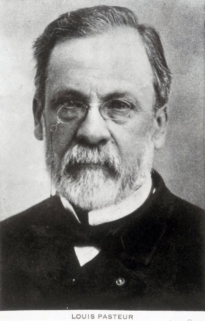 Louis Pasteur, Franse chemicus en microbioloog, ca. 1885 door Unbekannter Künstler