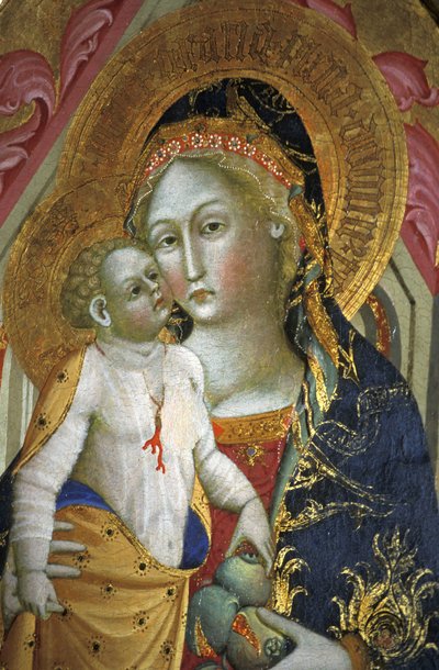 Madonna en kind, Francesco di Gentile, 14e eeuw, Piersanti museum, Matelica, Marche, Italië door Unbekannt