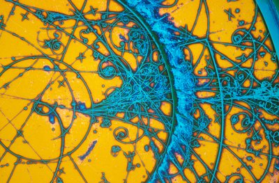 Aluminiumbrons, lichtmicrografie door Unbekannt