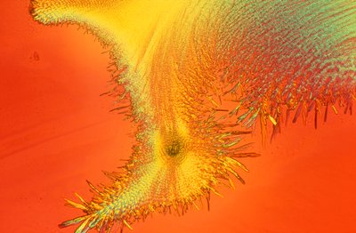 Micrografieën (Licht) Natriumsilicaat, licht micrografie door Unbekannter Künstler