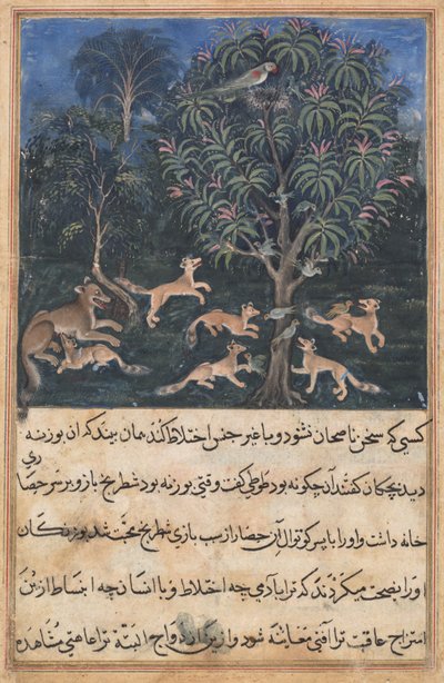 Pagina uit Verhalen van een papegaai (Tuti-nama): Vijfde nacht: De papegaaienmoeder waarschuwt haar jongen voor het gevaar van spelen met vossen, ca. 1560 door Unbekannt