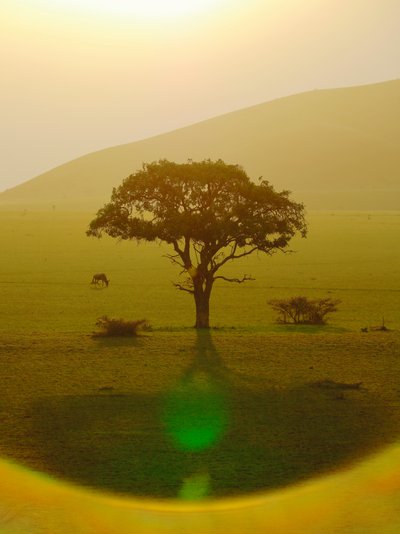 Paradijs na de regen, Chyulu Hills door Unbekannter Künstler