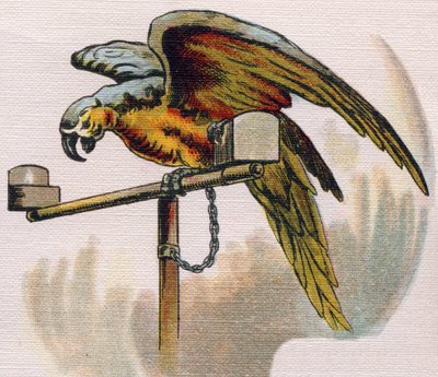 Papegaai op een stok. Gravure in "ABC L