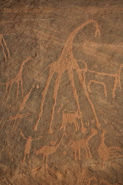 Rotstekeningen, Prehistorie: Gravure van giraffen, struisvogels, schapen en figuren in het Uweinat-massief, Soedan (Karkur-Talh of Karkur Talh). Periode van 8000 tot 3000 jaar v.Chr. Fotografie door Unbekannt