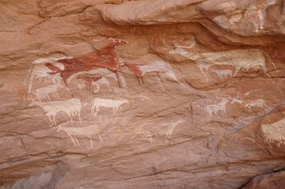 Rotstekeningen, Prehistorie: Schildering van een groep vee in een versierd onderkomen, in het Uweinat-massief, Soedan. Fotografie door Unbekannt