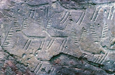 Rotstekeningen in het Massi di Cemmo Nationaal Archeologisch Park, Val Camonica (Unesco Werelderfgoedlijst) door William M. Timlin