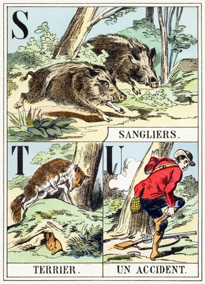 S T U: Everzwijn, Terrier, Een ongeluk - Het Jachtalfabet, ca. 1890 (gravure) door Unbekannt