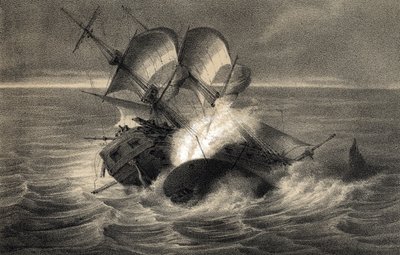 Schipbreuk van het walvisschip 