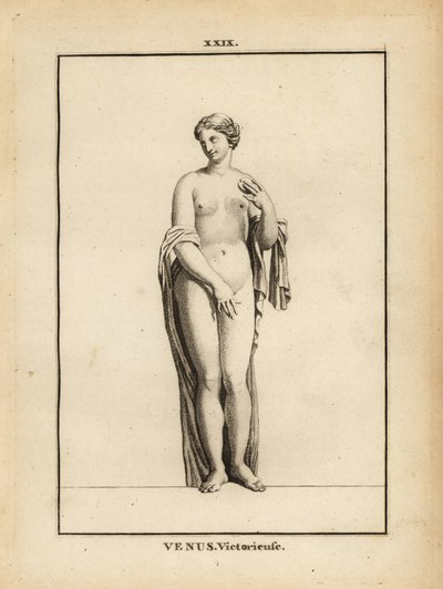 Standbeeld van Venus Victrix, Romeinse godin van liefde, schoonheid, seks en vruchtbaarheid door Unbekannt