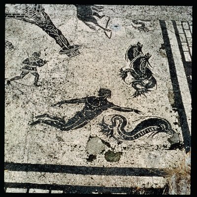Zwemmen met de Dolfijnen, uit het Frigidarium van de Baden in Ostia, 2e Eeuw na Christus door Unknown