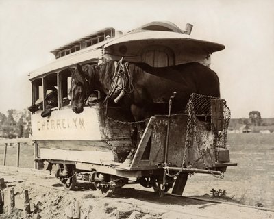 De Cherrelyn Paardenwagen, Denver, Colorado, ca. 1890 (zwart-wit foto) door Nicolas Liez