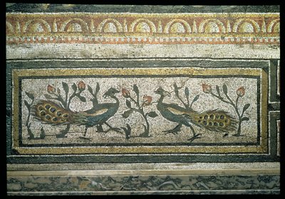 Twee pauwen, decoratieve randdetail van een mozaïekvloer die de seizoenen en jachtscènes uitbeeldt, van de Constantijnse Villa in Daphne, Romeins, ca. 325-330 n.Chr. door Unbekannt