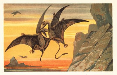 Twee pterodactylen vechten in de lucht tegen een karmozijnrode hemel door Unbekannter Künstler