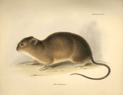 Zoölogie: De 