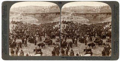 Veemarkt dag, in de onderste poel van Gihon, Vallei van Hinnom, Jeruzalem, Palestina, 1900 door Underwood and Underwood