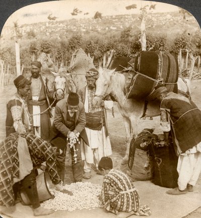 Experts die zijdecocons kopen, voor export naar Frankrijk, Antiochië, Syrië, 1900s door Underwood and Underwood