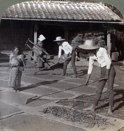 Boeren met bamboeharken die gierst op matten verspreiden om te drogen voor de winter, nabij Yokohama, Japan, 1904 door Underwood and Underwood