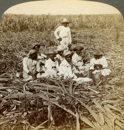 Op de suikerplantage La Union, San Luis, provincie Santiago, Cuba, 1899 door Underwood and Underwood