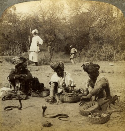 Slangenbezweerders, Delhi, India door Underwood and Underwood