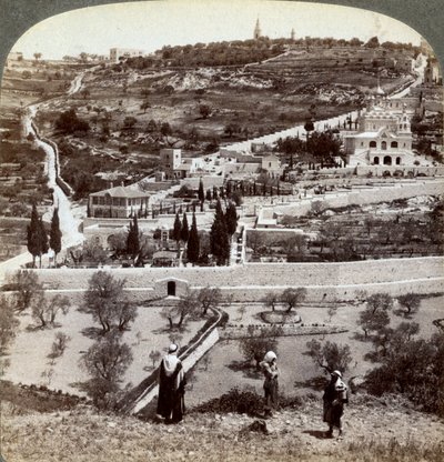 De Tuin van Gethsemane en de Olijfberg, Palestina, 1908 door Underwood and Underwood