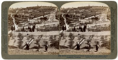 De Tuin van Getsemane en de Olijfberg, Palestina door Underwood and Underwood