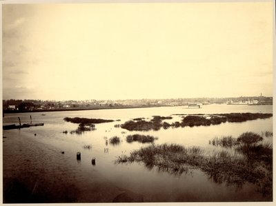[Harlem River]. door Unidentified