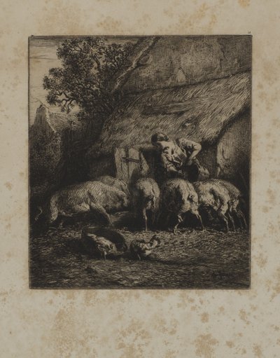 Vrouw die varkens voert door Unidentified
