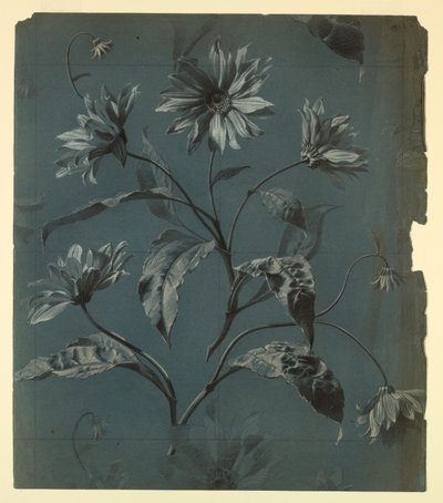 Ontwerp voor behang of textiel van madeliefachtige bloem met herhaling door Unknown
