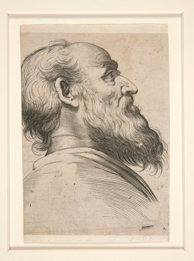 Zonder titel (bearded man, looking up to left) door Unknown