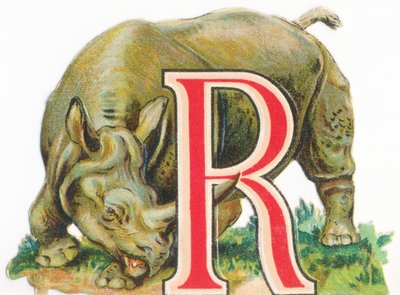 A: Neushoorn door Unknown artist