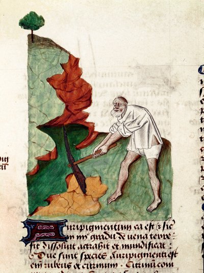 Een goudzoeker. Pagina uit het manuscript 