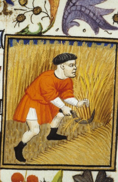 Allegorische voorstelling van juli. Oogst: een boer maait gouden tarwe. Miniatuur van een 14e-eeuws manuscript door Unknown artist
