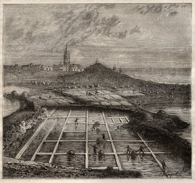 Batz sur Mer, Bretagne, Frankrijk - Zoutproductie. Uitzicht op een zoutmoeras in West-Frankrijk - gravure in 