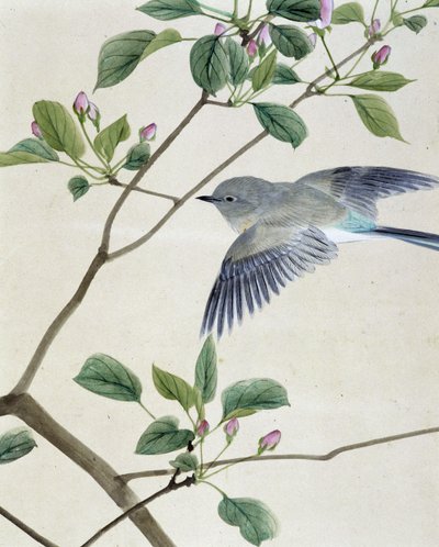 Vogel - Japanse tekening door Riou Chim, eind 19e eeuw door Unknown artist