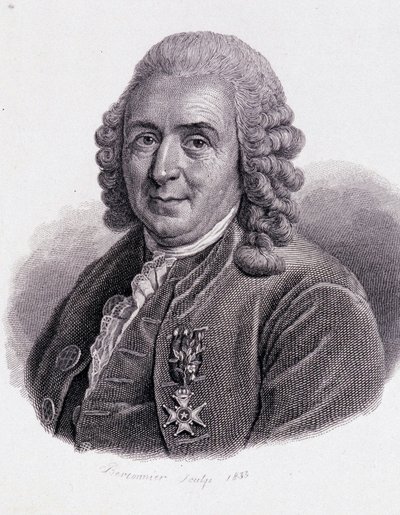 Carl Von Linné Zweedse natuurkundige en schrijver (1707 - 1778) door Unknown artist