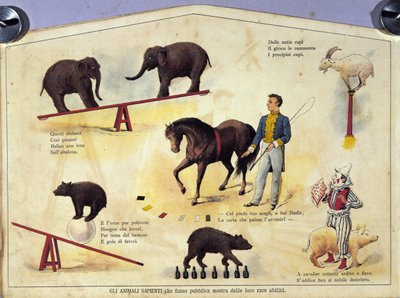 Circus: een bord dat verschillende soorten shows van geleerde dieren toont met olifanten, een geit, een beer, paarden en een varken. Illustratie van de 19e eeuw door Unknown artist