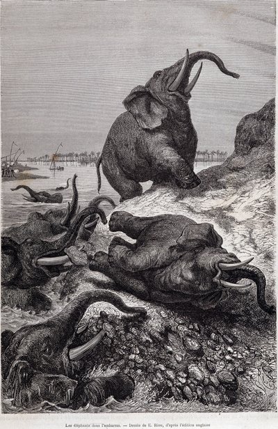 Olifanten beklimmen de oever van een rivier, in verslag van een expeditie naar Centraal-Afrika in opdracht van Sir Samuel White Baker, 