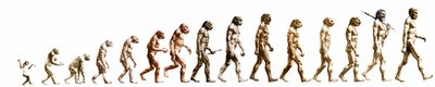 Evolutie: Vergelijking van morfologieën van de aap tot de huidige mens (verschillende hominiden). Eindgravure van de 19e eeuw door Unknown artist